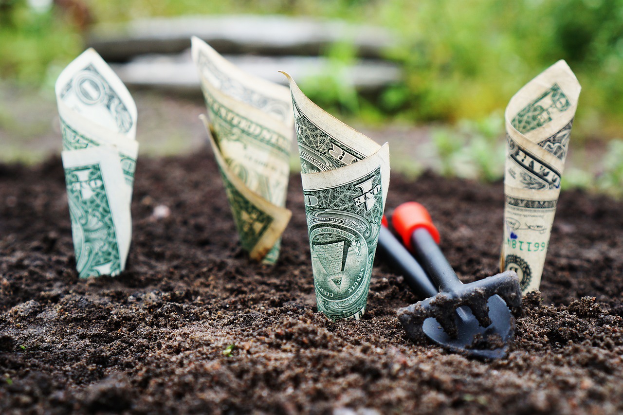 money, grow, interest, save, invest, shares, funds, the bank, finance, banknotes, financial, savings account, bank account, money, money, money, money, money-1604921.jpg