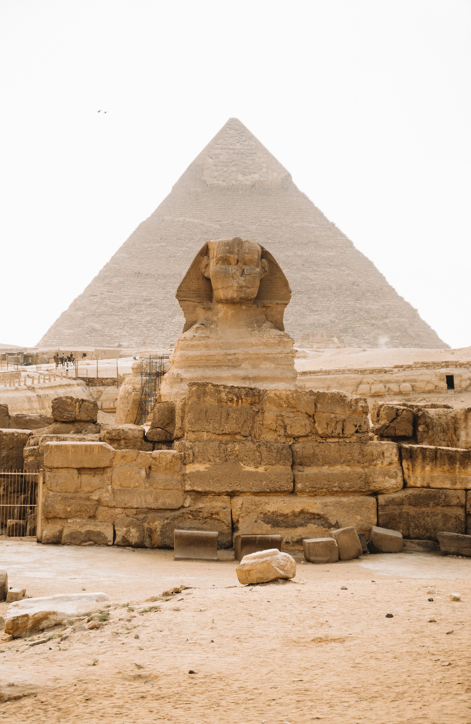 Egypt Residency by Property Ownership: Requirements, Timeline, and Legal Process
